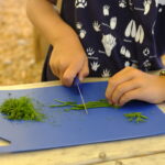 Summer Programs